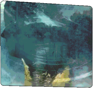 hallmark_theWayHome_300x250.gif