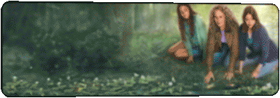 hallmark_theWayHome_320x100.gif
