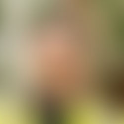 Inside the Restored Palm Houses at Royal Botanic Garden Edinburgh