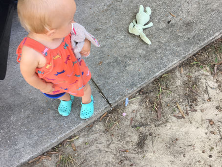 Bunnies, binders, and buckets: Things that are teaching me patience