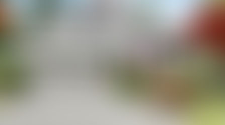 Beautiful, spacious home in Kirkwood!