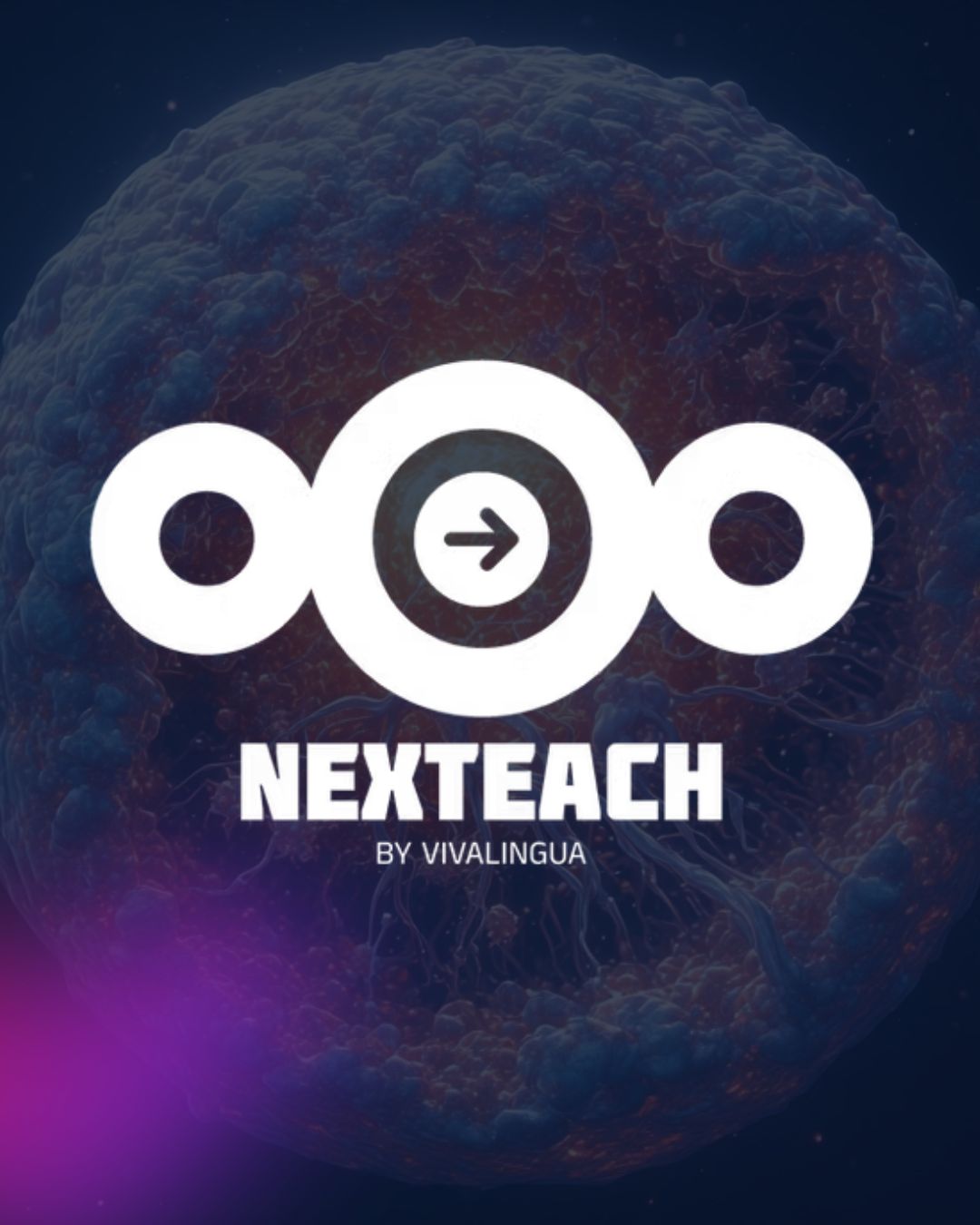Writer: NexTeach 360
