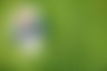 The Power of Introverts (from an Extrovert's Lens)