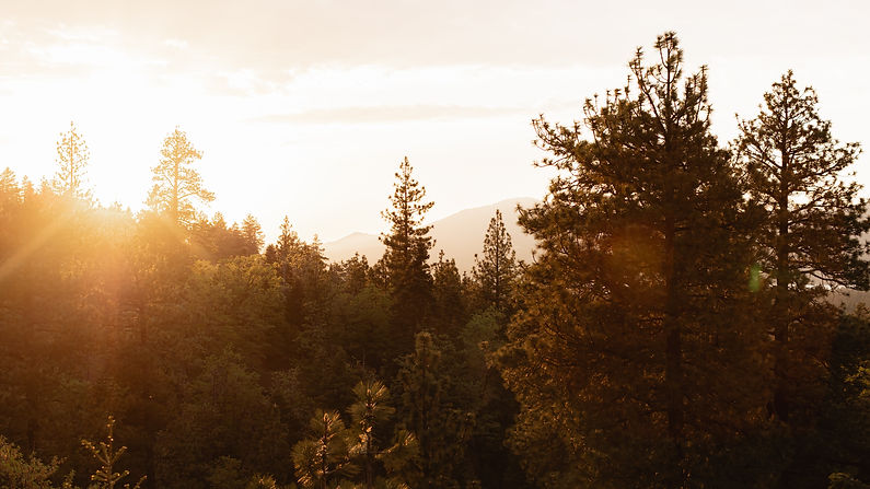 Gianna_Christina_Photo_Big_Bear_Lake_DJI_Drone_Photography-2.jpg