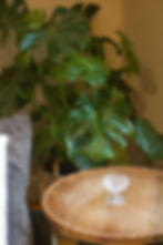Ribbed vintage pressed glass coupe on wooden table with tropical plant backdrop