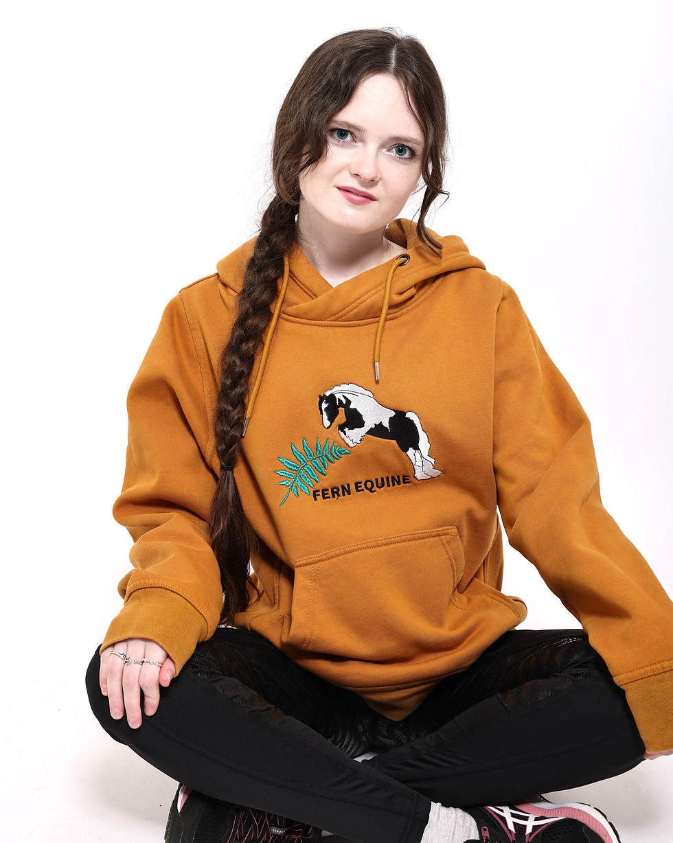 Thumbnail: Embroidered Hoodie