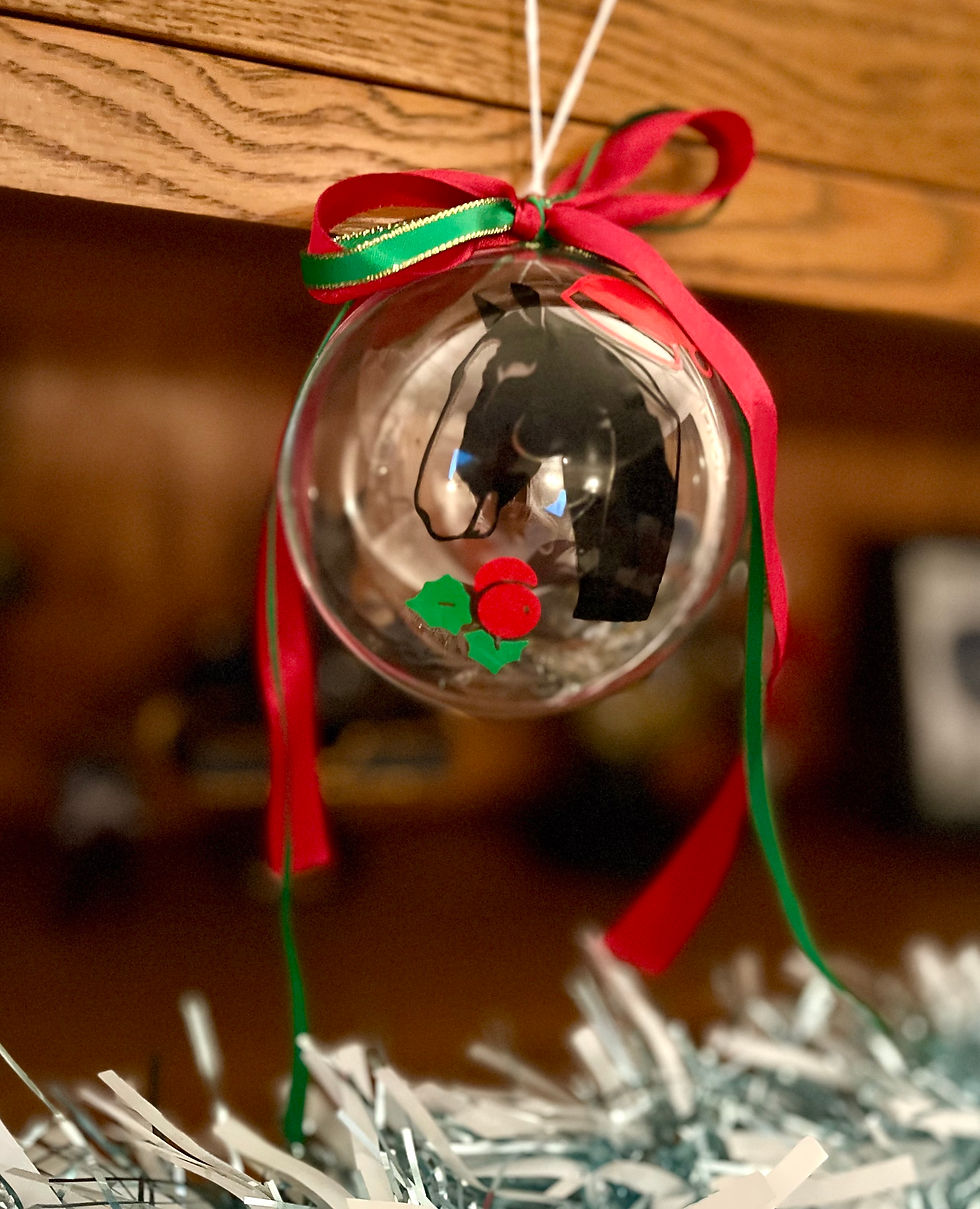 Thumbnail: Pet Treat Baubles