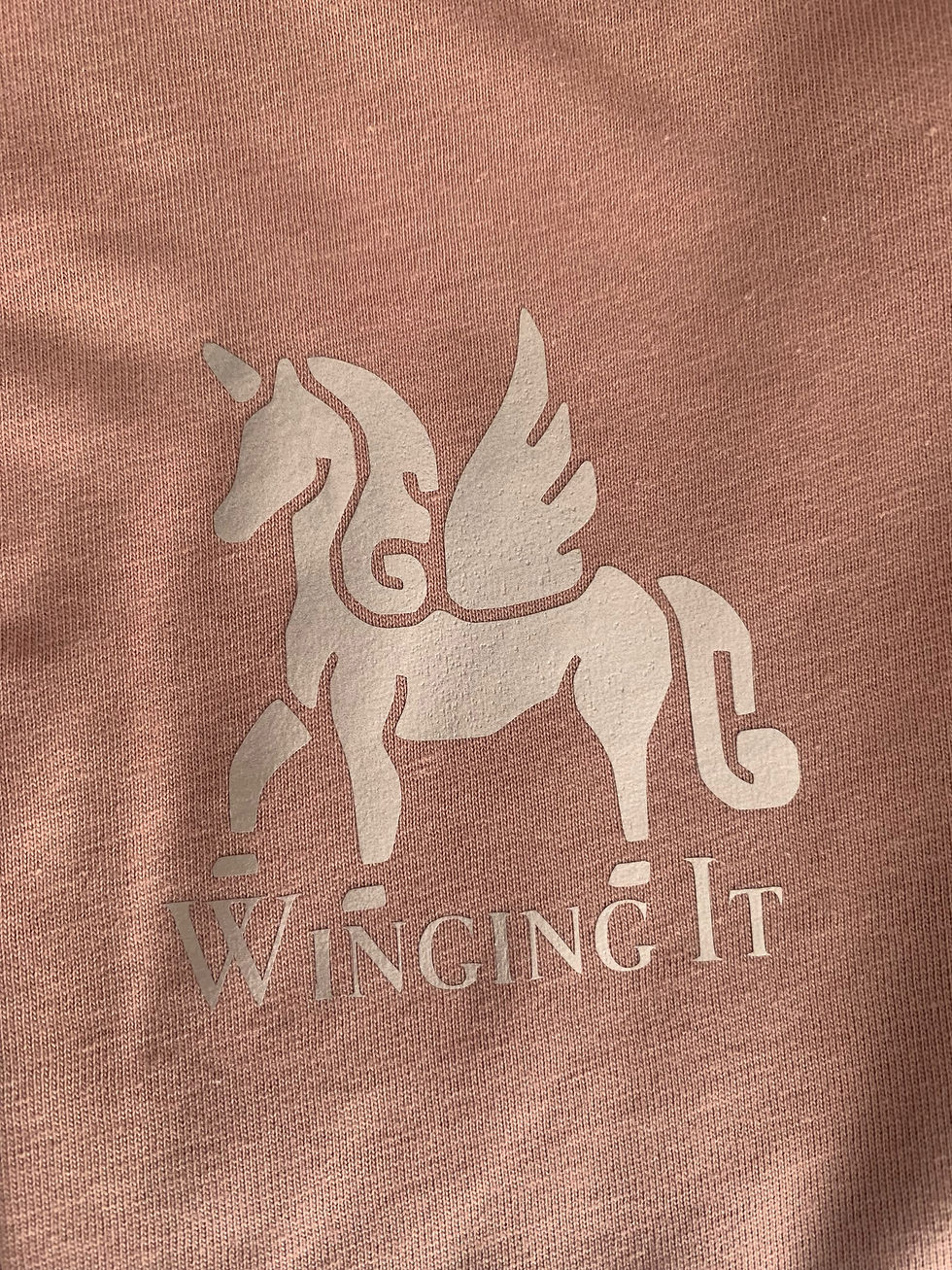 Thumbnail: Winging It Tee - Navy or Dusty Pink