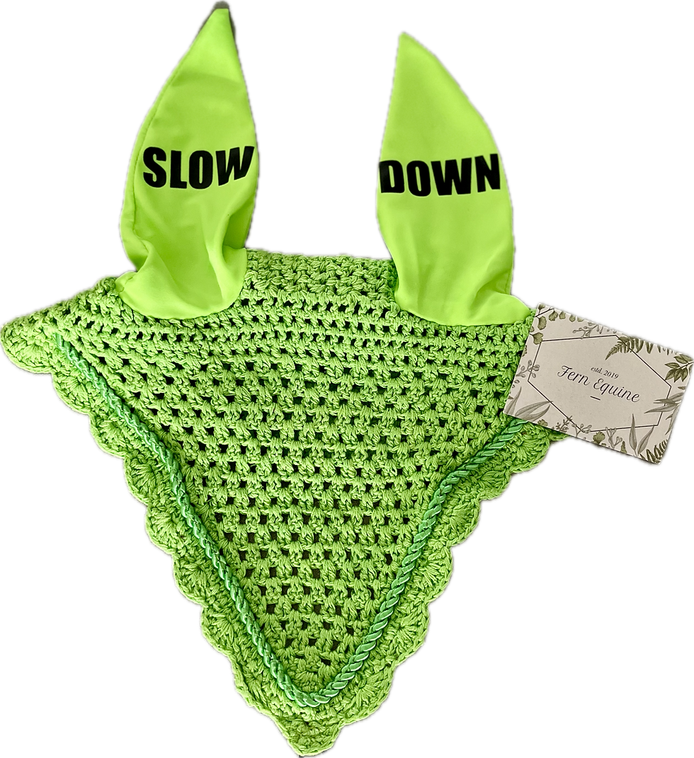 Thumbnail: Ear Bonnet - Slow Down 