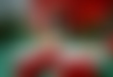 ケースコンペ(Case Competition)とソーシャル、ときどき授業