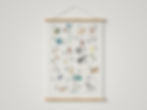 Thumbnail: My First Alphabets Print