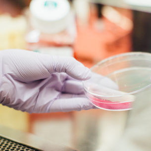 Patient and Caregiver Insights on Basal Cell Carcinoma