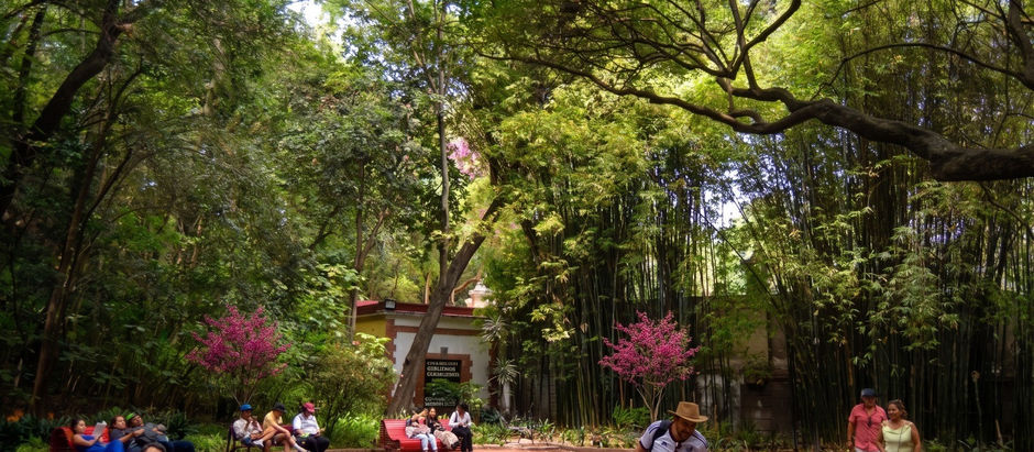 Exploring Unique Travel in CDMX: Vibrant Travel Experiences in Mexico City