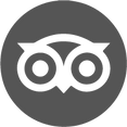 TripAdvisor _edited.png