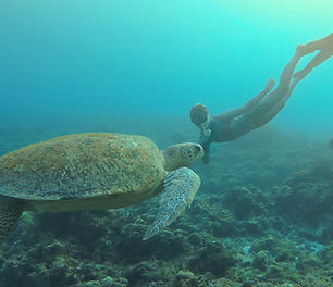 a photo with big turtle.jpg