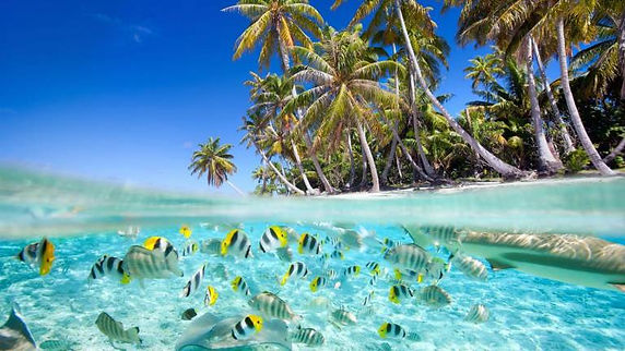 Maldives View 1