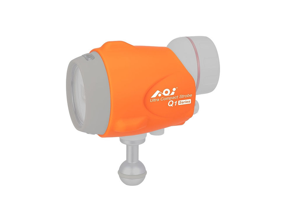 縮圖：AOI Protective Silicone Sleeve for Q1 series strobes - 01