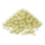 CBVL (5).png