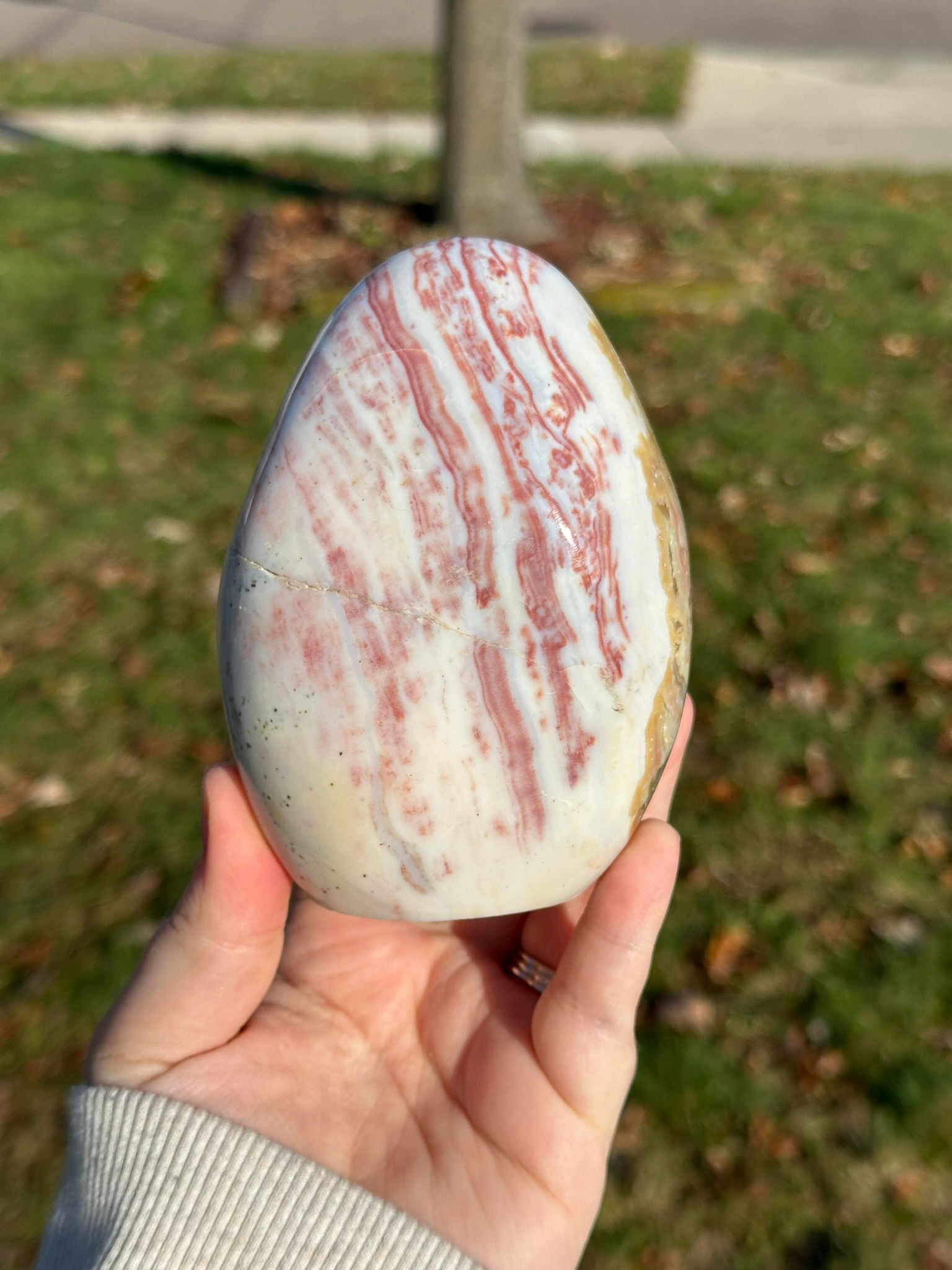 Ocean Jasper Freeform 50