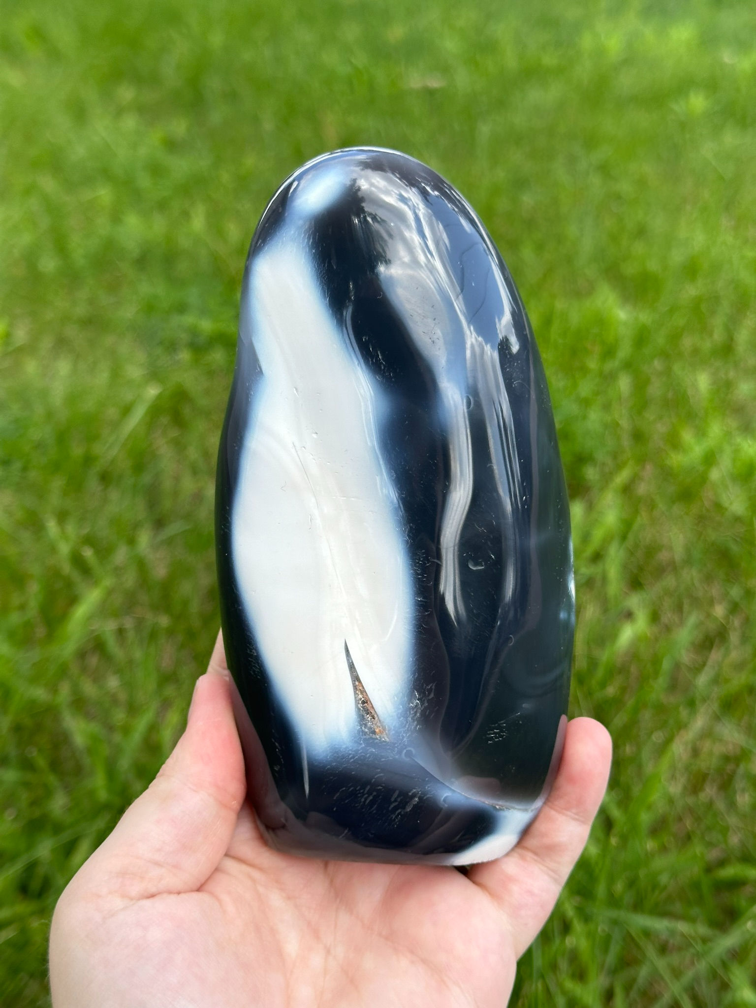 Orca Agate Freeform