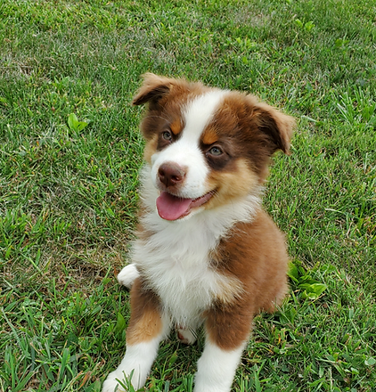 20190902_100610_edited.jpg
