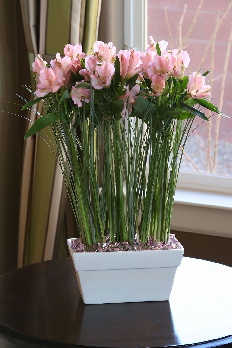 Alstroemeria