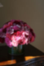 Carnations