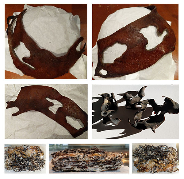 Mold 1.jpg