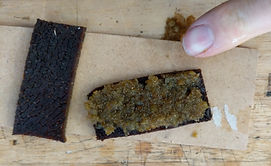 Pulp Lam 1.jpg