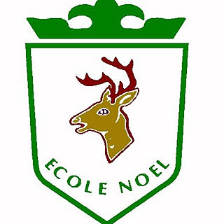 Foto del escritor: Colegio Ecole Noel