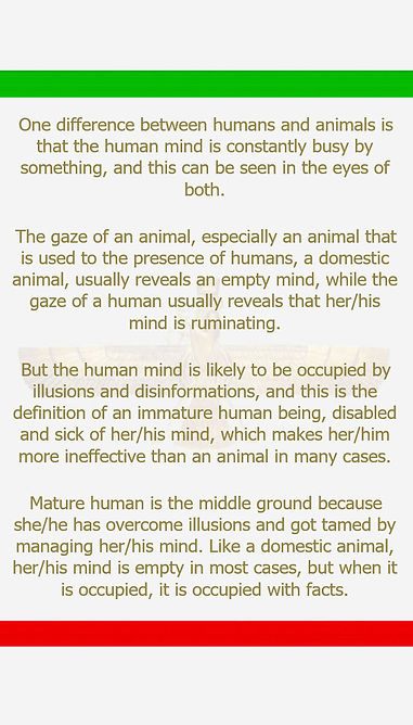 A difference between humans and animals.