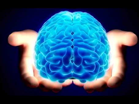 Mazdeyasni means the praise of the wisdom