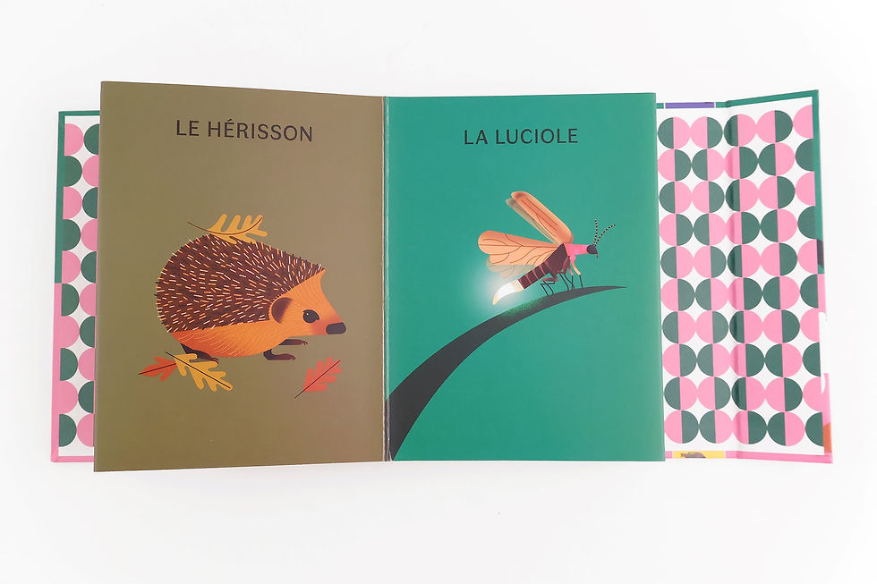 Thumbnail: Day Animals, Night Animals - My Duo Animal Books