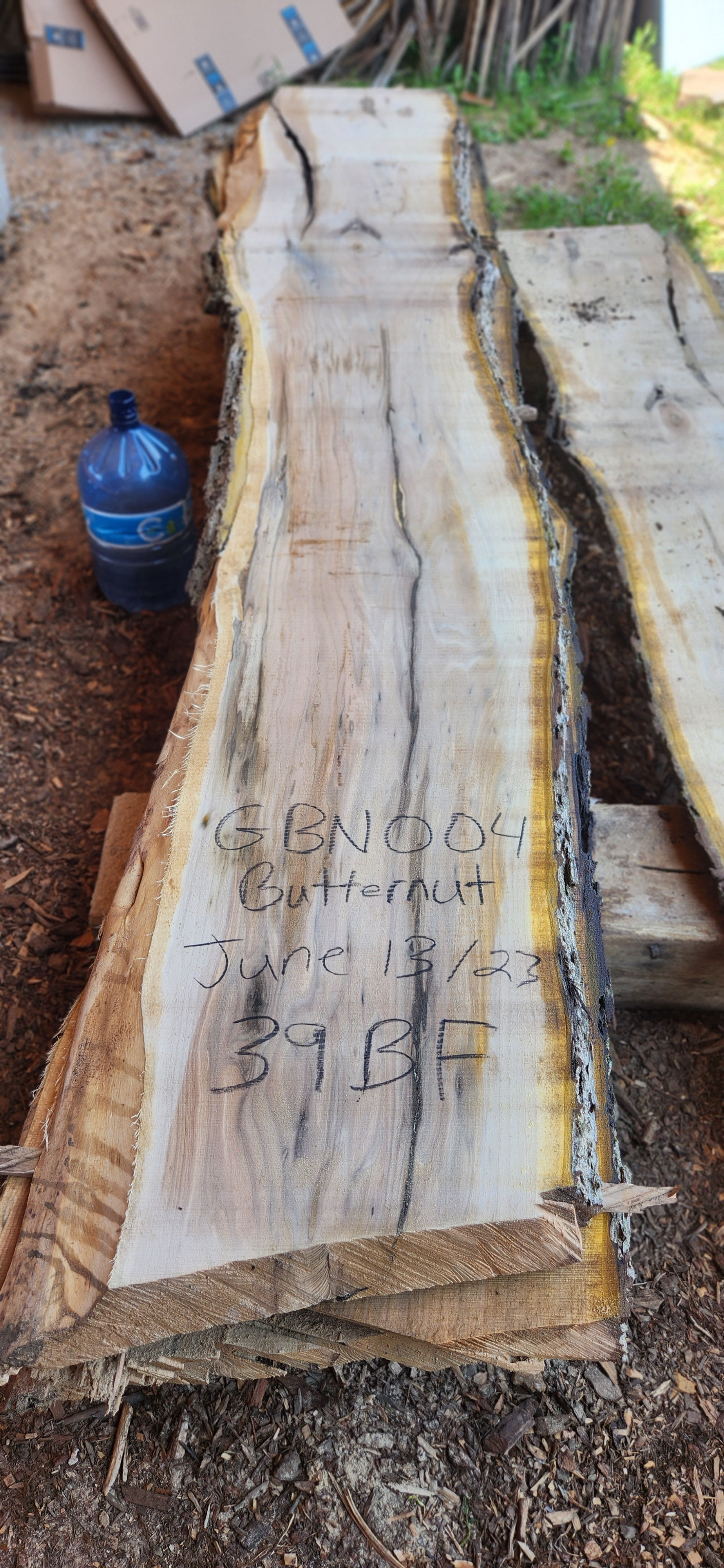 Butternut 1 - GBN004