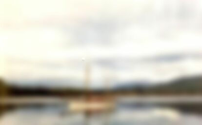 4592224.jpg