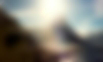 4517712.jpg