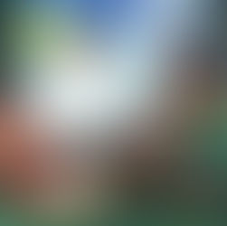 [Old Testament Orientation: Genesis 1-11]