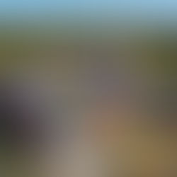 Helpful Introductory Video Lecture series from Yale: What You Should Listen to Prior