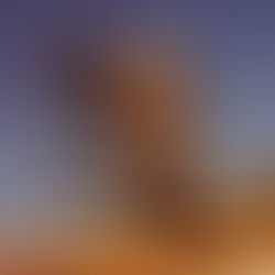 The white male trend of labelling other white men ‘geniuses’