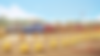 pablo_zenith_driving_school_cars_lined_up_with_instructors_on_c_2ef4f2b0-79a9-42ac-8516-8f