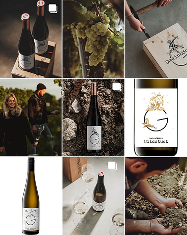 Weingut Gmeinböck Weine aus dem Weinviertel