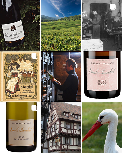 Domaine Boeckel Crémants aus dem Elsass