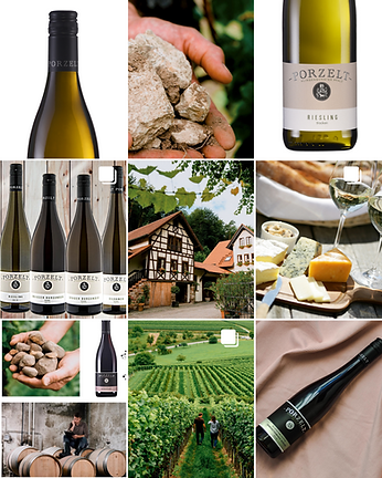 Weingut Porzelt Weine aus der Pfalz