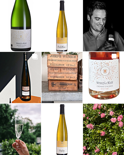 Wunsch et Mann Weine und Crémants d'Alsace aus Wettolsheim, Frankreich