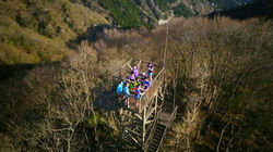 17904326_724142491044335_6463867839941129830_n