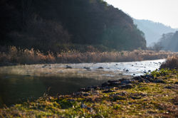 仏果山の麓を流れる中津川。登山のあとは川にドボン。