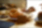 THe Magic Spoon Dairy & Gluten Free Treats