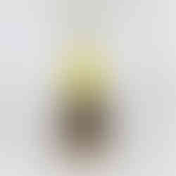 Aines Chocolates Easter Eggs