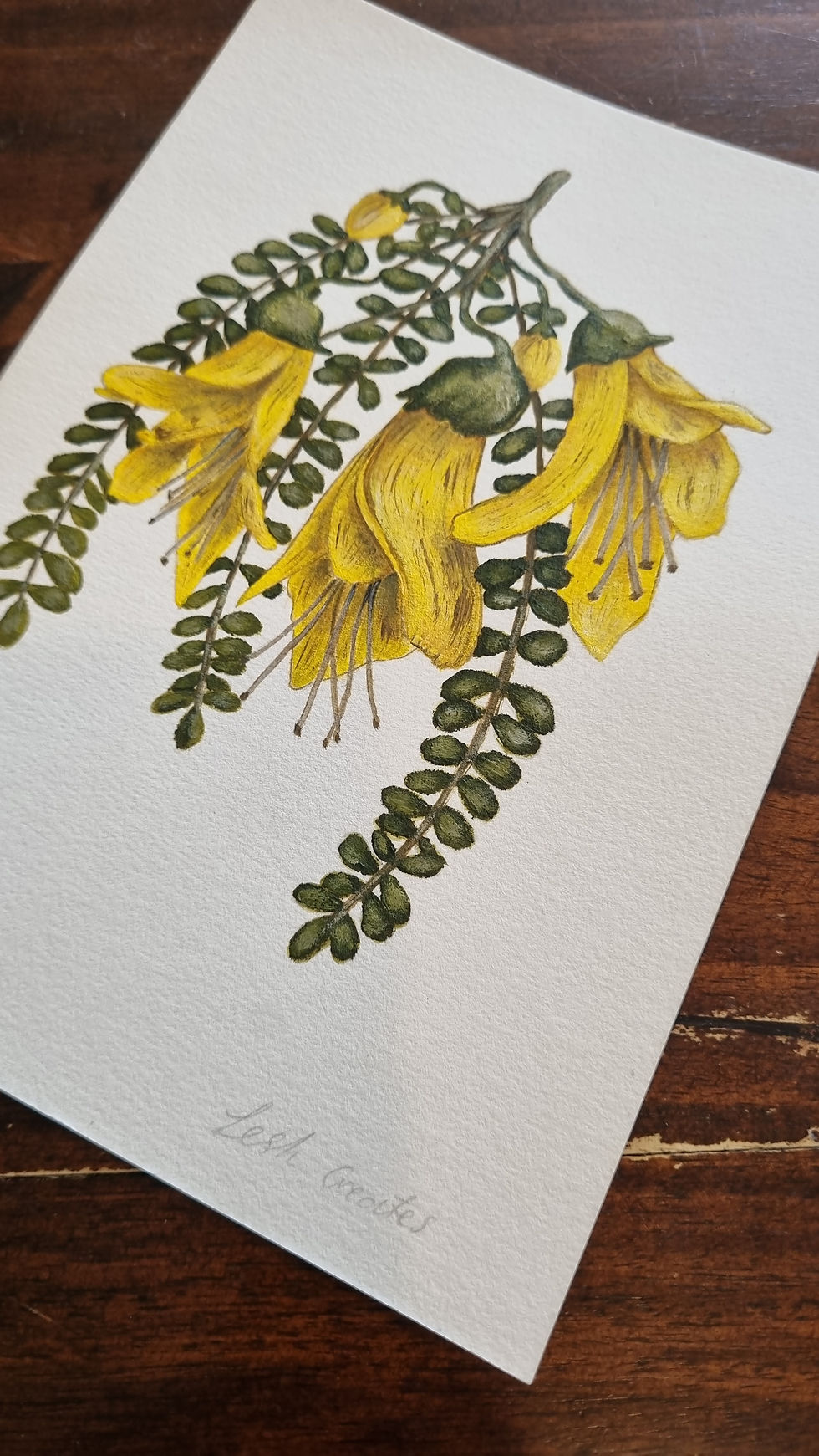 Thumbnail: "Kowhai Dreams" - Only one Original