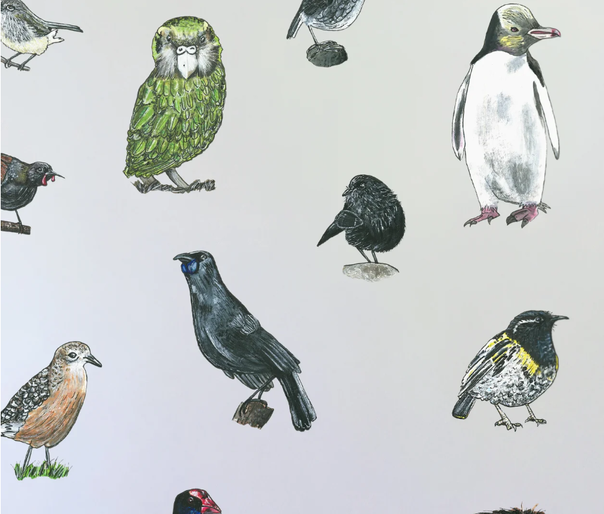 Thumbnail: 18 Native Birds